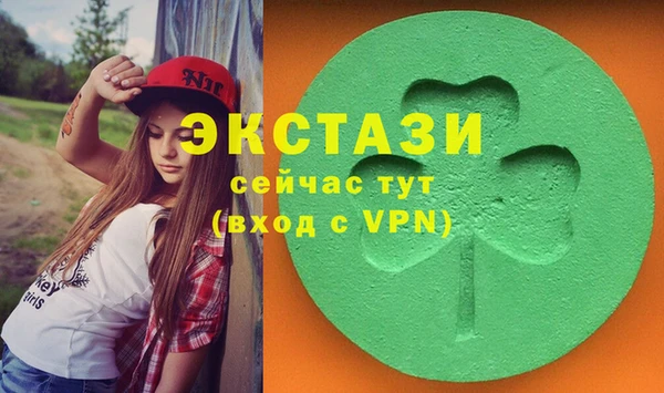шишки Бородино