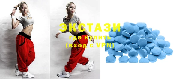 шишки Бородино
