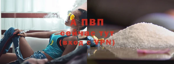 ПСИЛОЦИБИНОВЫЕ ГРИБЫ Богданович