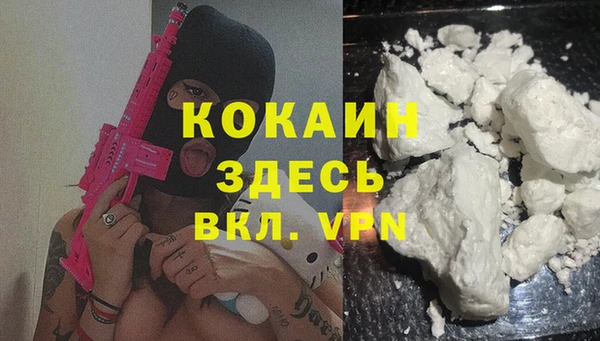 шишки Бородино