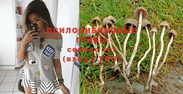 мескалин Бугульма