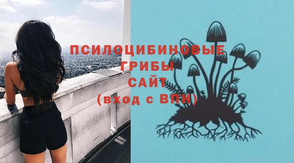 бутират Богородицк