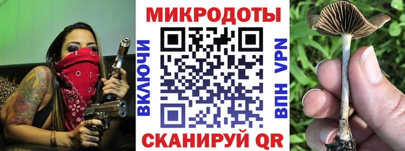 Псилоцибиновые грибы Cubensis  где найти   Озёрск 